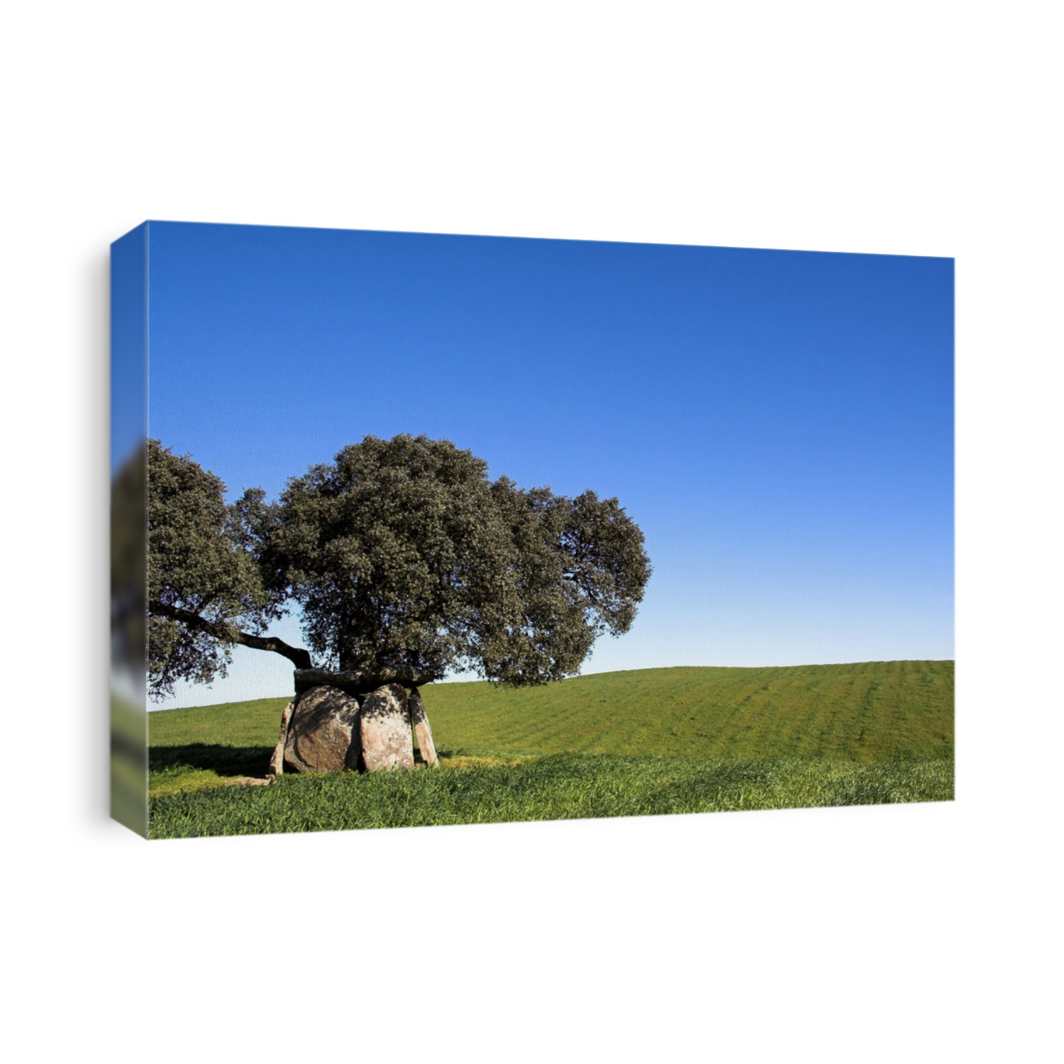 Ancient Dolmen in green fields under tree and blue sky in Alentejo Portugal